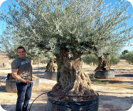 Vásárlóink kedvence